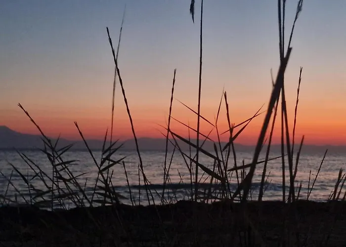 Happy By The Sea